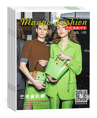 巴西/中东 特刊
